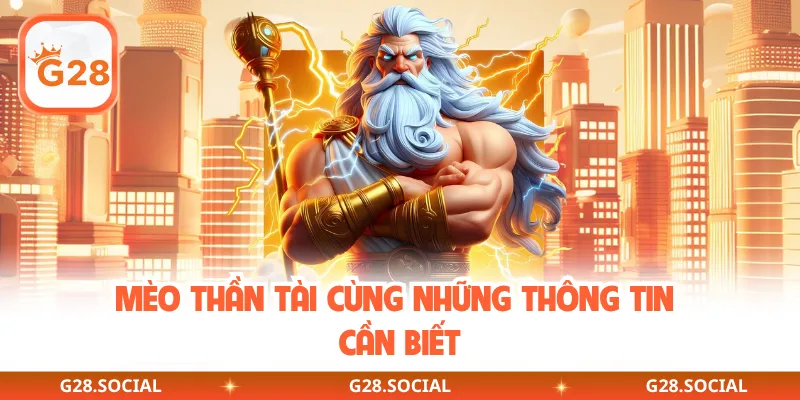 Mèo thần tài cùng những thông tin cần biết